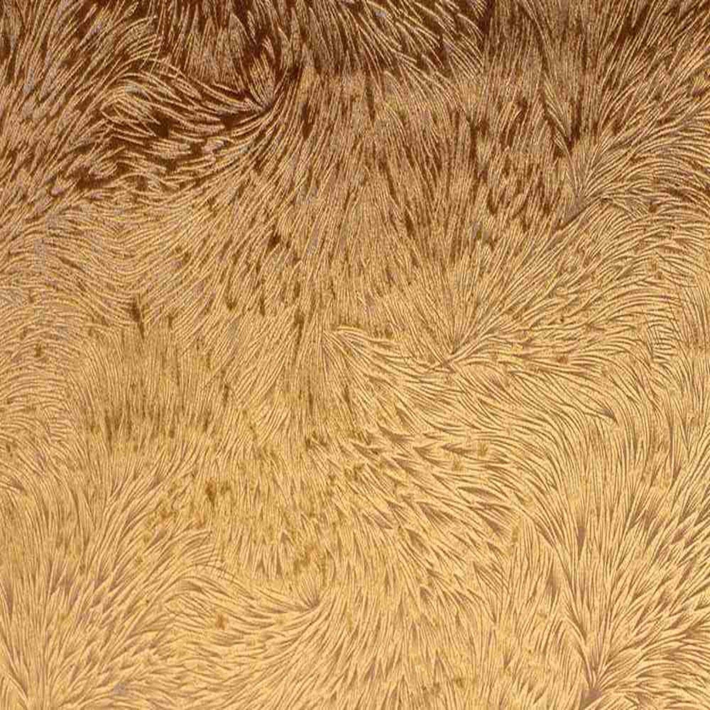 Huntsville Brocade Velvet - Custom Tablecloths