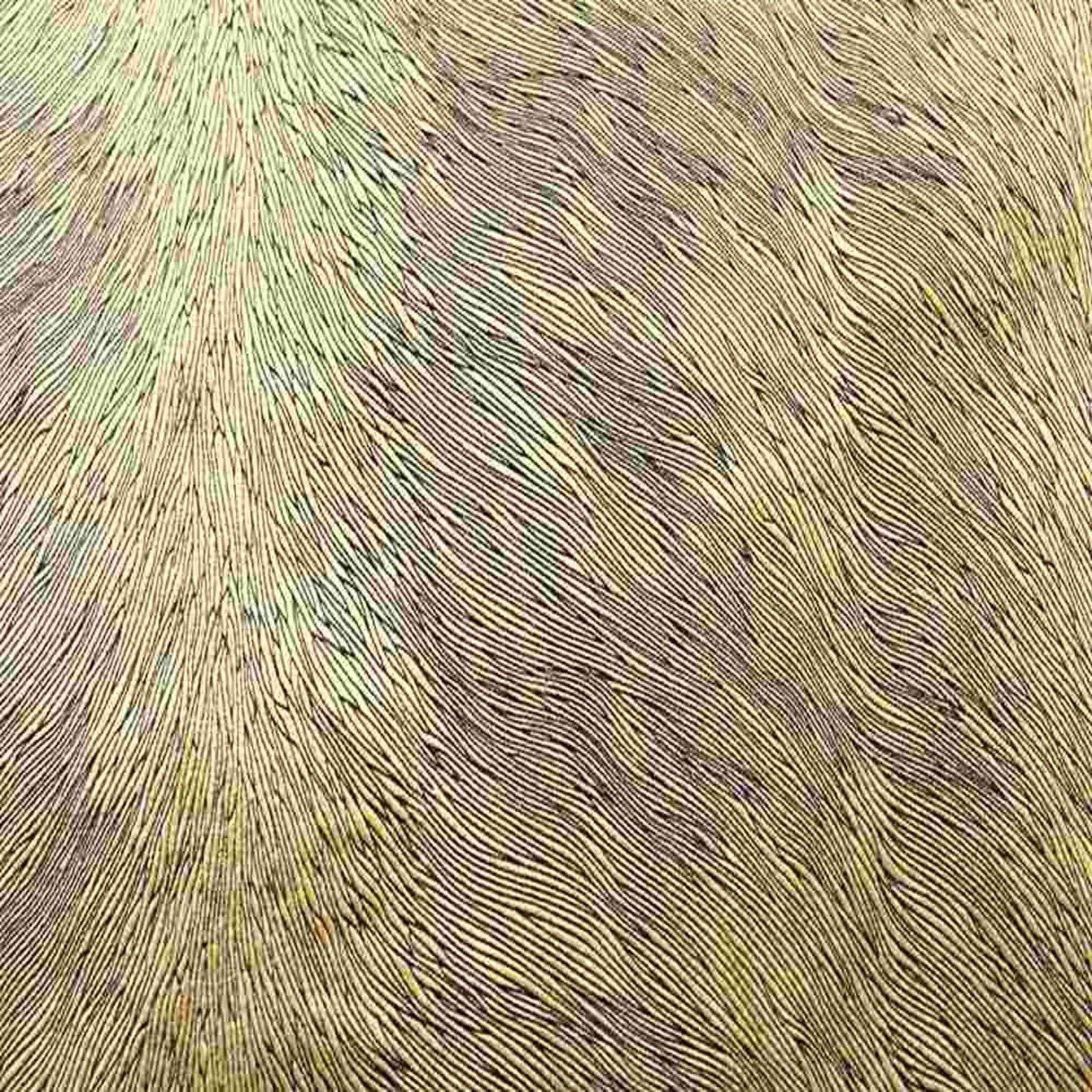 Gold Brocade Hunter Velvet Fabric by the Yard - 72 Inch Wide