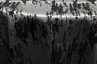 black-white MARMORE Jacquard Fabric by the Yard - 118 Inch Wide