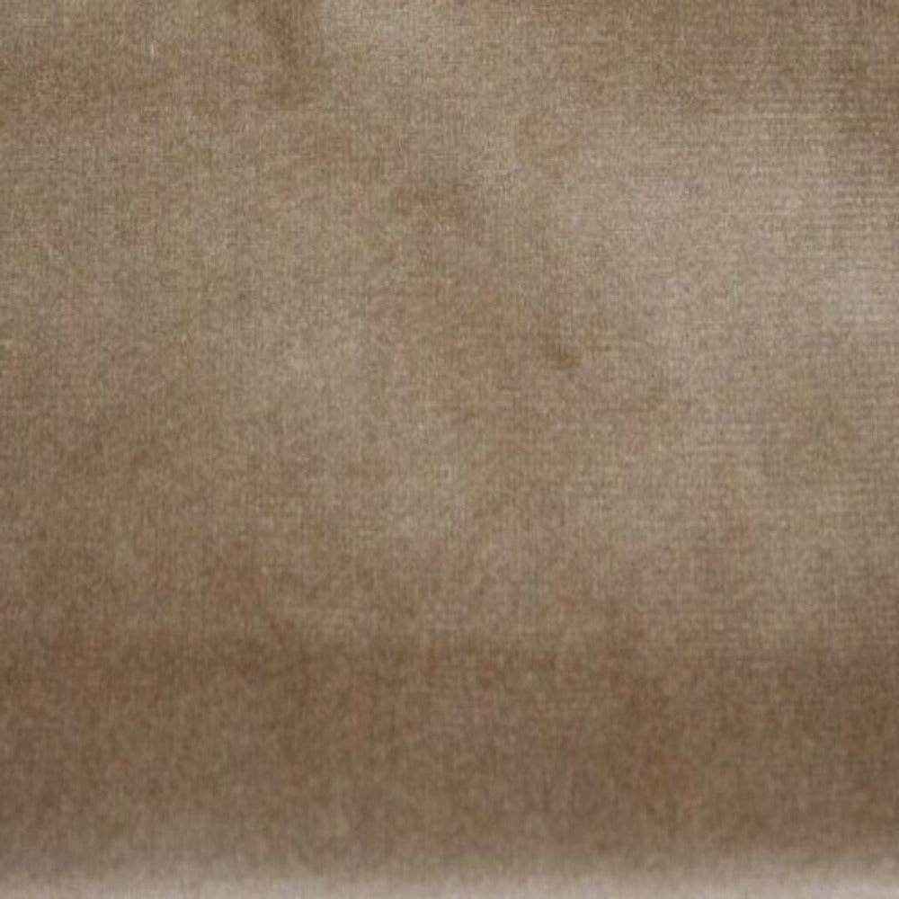 Champagne Newport Soft Velvet Fabric by the Yard - 72 Inch Wide