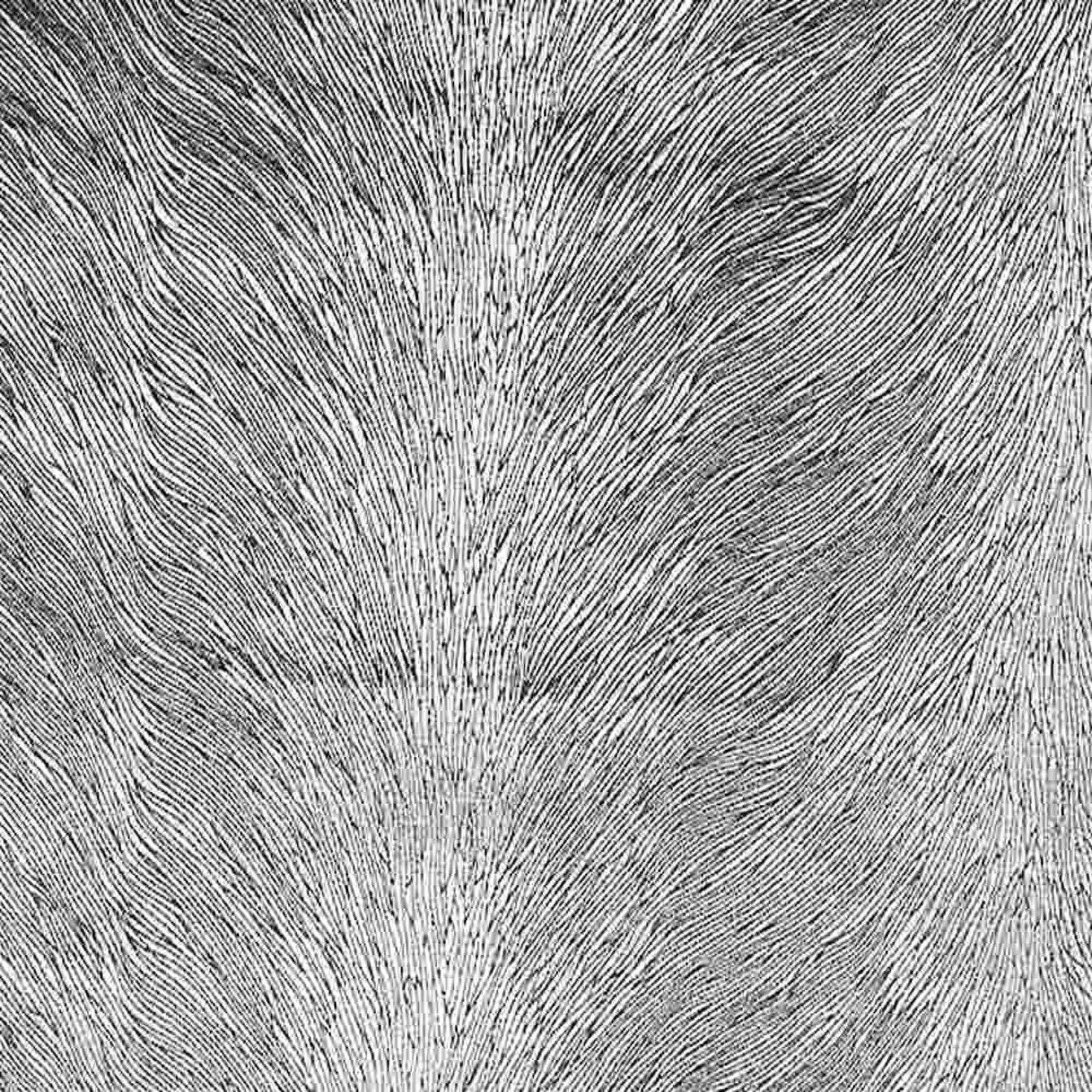 Natural Brocade Hunter Velvet Fabric by the Yard - 72 Inch Wide